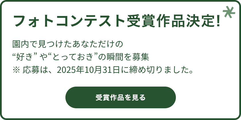 公園フォトコンテスト受賞作品決定